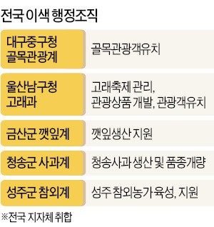 고래과·깻잎계·골목계…돈 버는 드림팀