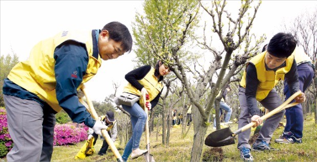 오규석 대림산업 사장(맨 왼쪽)을 비롯한 임직원들이 서울 남산 야외식물원 무궁화 단지에 비료를 주고 있다. 대림산업  제공 