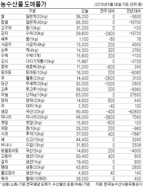 [농수산물 시세] 감자 가격 2주새 9% 떨어져