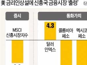 미국 금리인상 임박?…신흥국, 벌써 '긴축 발작'