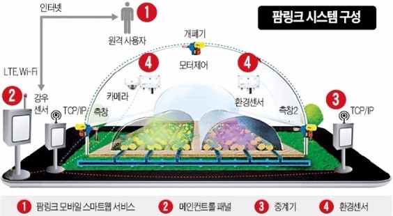 [한경 스타트업 리포트] 스타트업 만난 장미농장, 2년새 27배 '장밋빛 성장'