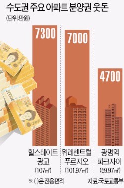 광명·동탄 '분양권 야시장' 북새통