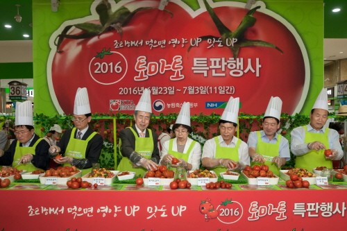 농협, 여름 제철 토마토 특판 행사 실시