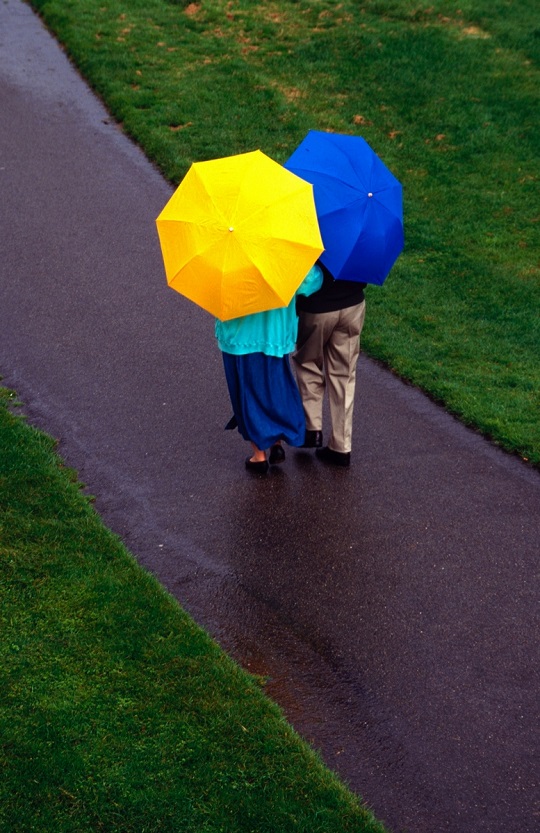 우산 보관 및 세척 (사진=DB)