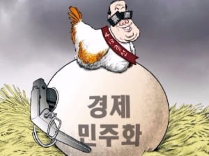  (50) '경제민주화'는  없다