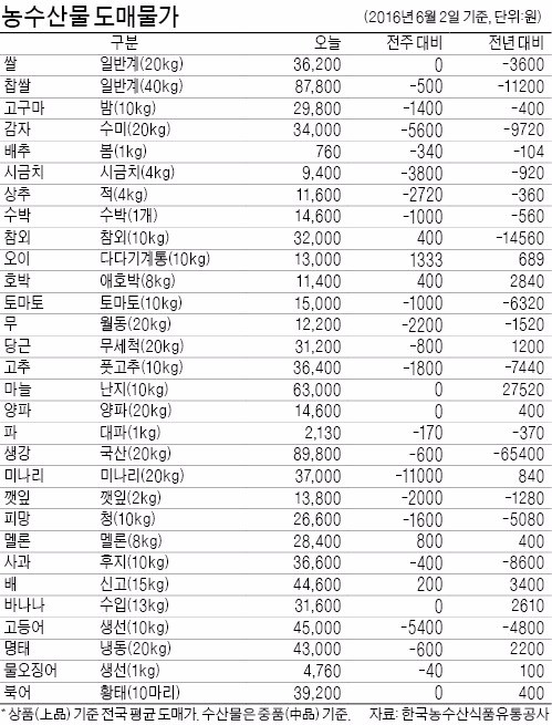 [농수산물 시세] 배추값, 지난달 대비 절반 수준