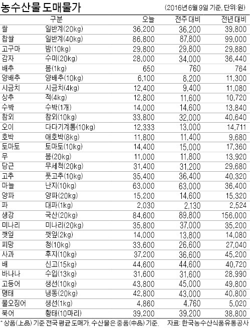 [농수산물 시세] 미국 체리 수입 늘며 가격 하락