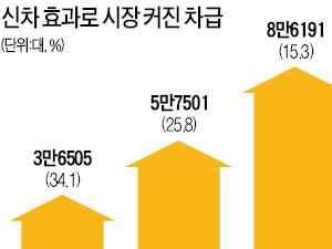 신차가 내수시장 키운다