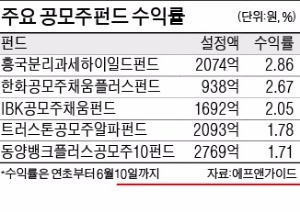 "떡잎부터 투자"…증시 새내기주에 돈 몰린다