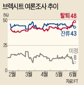 ['브렉시트 충돌' 영국 의원 피살] 부동층 8% 표심 요동…동정론 일어 '브렉시트 반대' 가능성