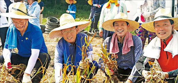 더민주, 경북서 '농촌 일손돕기'