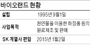 제주도로 날아든 '행복 날개'…풍력·전기차·친환경 'SK의 삼다도'