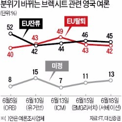 브렉시트 무산에 '투표'하는 기관