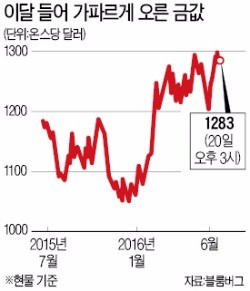 [영국 브렉시트 국민투표 D-2] 헤지펀드, 금 대거 매수