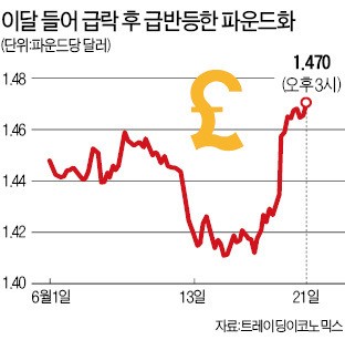 [브렉시트 투표] 옐런 "브렉시트, 세계경제에 부정적 여파 초래"