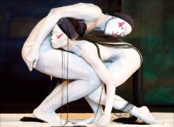 현란한 몸짓과 안무…세계 전통문화, 춤이 되다