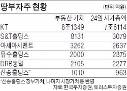 KT·유수홀딩스·신송홀딩스·S&T홀딩스…다시 주목받는 '땅부자주'