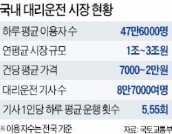 [단독] 대리운전 진출 한 달 만에 가격 내린 '카 대리'