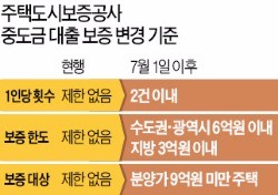 9억 넘는 아파트 중도금 대출 제한