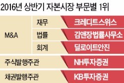 김앤장, M&A 법률자문 '챔피언'