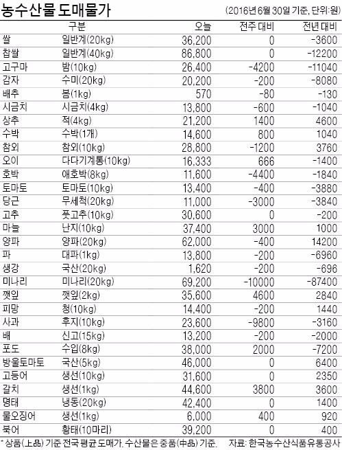 [농수산물 시세] 이달 한우값 최고 14% 오를 듯