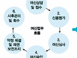  기업 신용평가는 재무적·비재무적 분석 모두 적용해야