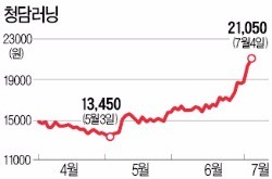 교육·신발주 해외로 눈 돌리니…청담러닝 올해 75% '뜀박질'