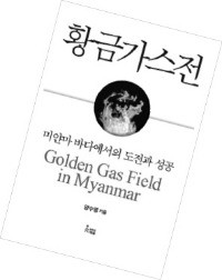 미얀마 가스전 성공 주역 양수영 전 포스코대우 부사장 "자원개발은 긴 안목서…지금이 투자 적기"