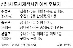 분당신도시 내 단독주택가 확 고친다