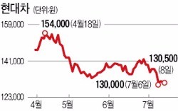 "엔고에도"…힘 못쓰는 현대차