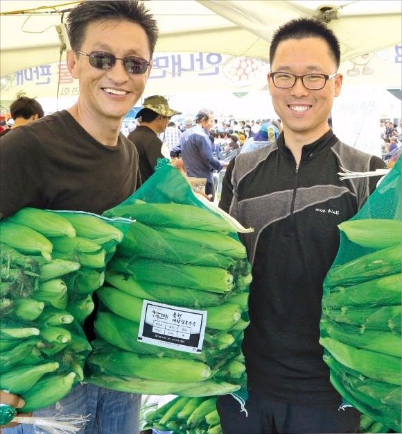 옥천 옥수수 축제