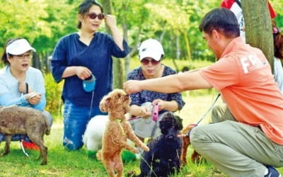  반려동물이 주는 효용과 가치의 변화