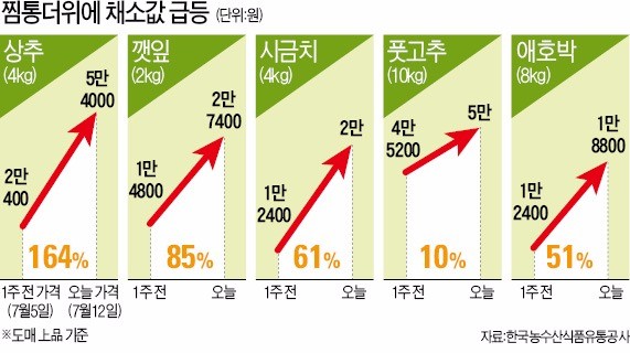 폭염·장마에…채소값 폭등