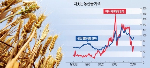 [한경 BIZ School] 빈번해진 기상이변, 애그플레이션 촉발하나