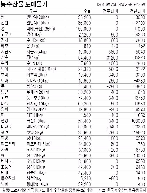 사과 3만7800원…전년비 18%↓