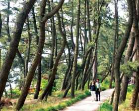  낭만 싣고 달리는 '철길 위 호텔'…산·계곡·바다 '팔도 절경' 다 봤어요!