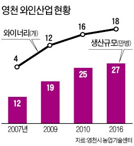 와인산업 '무르익는' 경북 영천