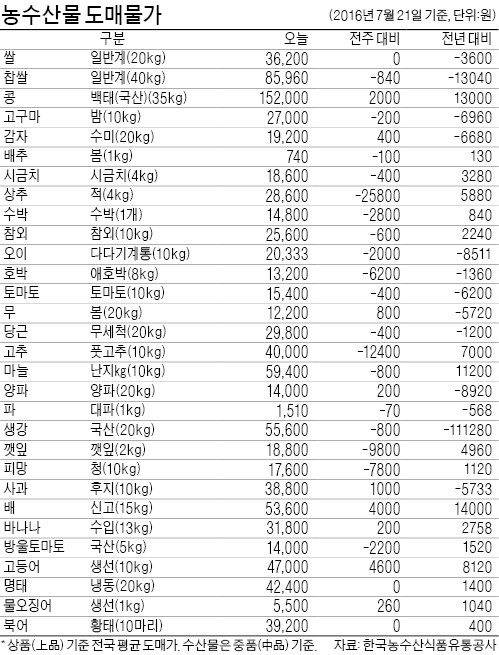 [농수산물 시세] 호우·폭염에 귀해진 고랭지배추