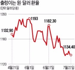 [달러 독주시대] "1弗=1200원대까지 갈수도"