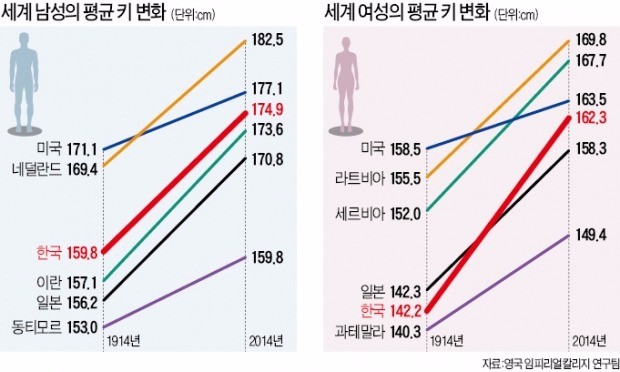 高高해진 한국 여성