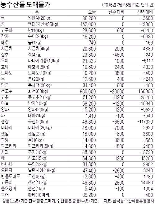 생강값, 1년 만에 70% 하락