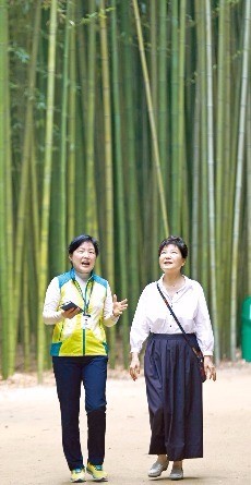 지난달 28일 울산 태화강 십리대숲을 방문한 박근혜 대통령이 문화관광해설사와 함께 걷고 있다. 연합뉴스 