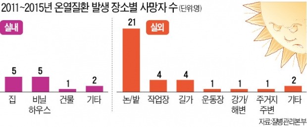 폭염으로 생기는 급성 심정지…"오후 5시가 가장 위험"