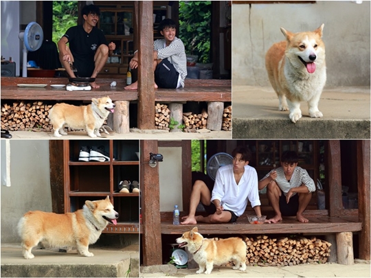 삼시세끼 (사진=CJ E＆M)