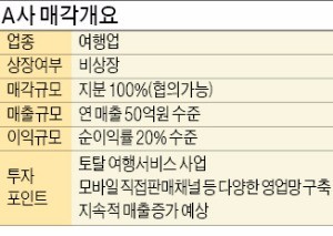 [기업 재무] 연 순이익률 20%대 여행업체 매물로