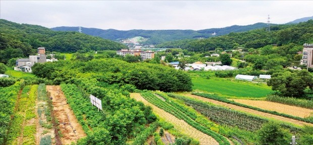 경기 성남시가 공모를 통해 민간과 합작으로 개발 중인 대장동 도시개발구역 전경. 판교신도시와 터널로 연결되는 이곳에는 7323가구의 주택이 들어선다. 성남의뜰 제공 