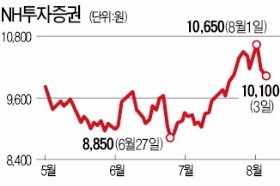 NH투자증권·신한금융투자, '초대형 IB' 육성 수혜주