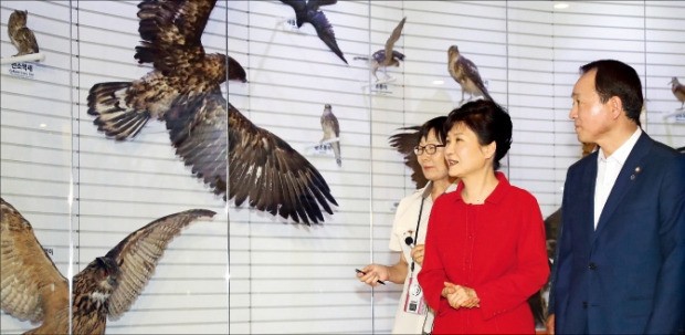 박근혜 대통령이 4일 충남 서산의 서산버드랜드 철새박물관을 방문, 해설사의 설명을 들으며 전시실을 둘러보고 있다. 오른쪽은 성일종 새누리당 의원. 강은구 기자 egkang@hankyung.com