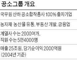 농협캐피탈, 중국 기업과 합작…"리스시장 개척"