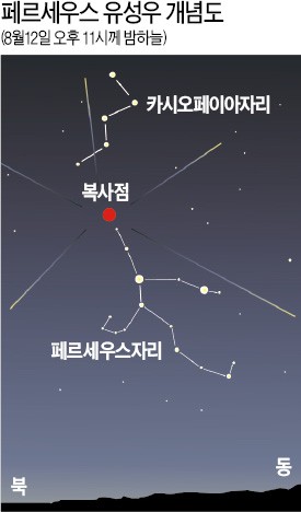 '잠 못드는 밤'…12·13일 우주쇼 펼쳐진다